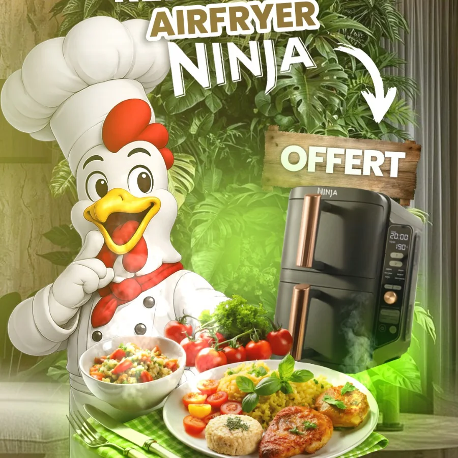 Cadeau offert : friteuse sans huile Ninja Air Fryer